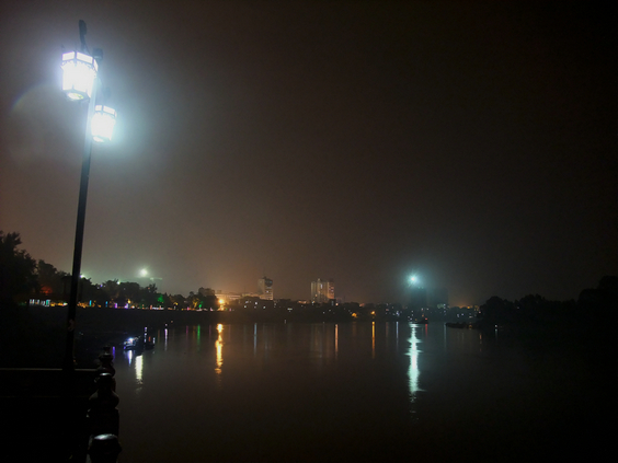 横州夜海棠 (3).jpg