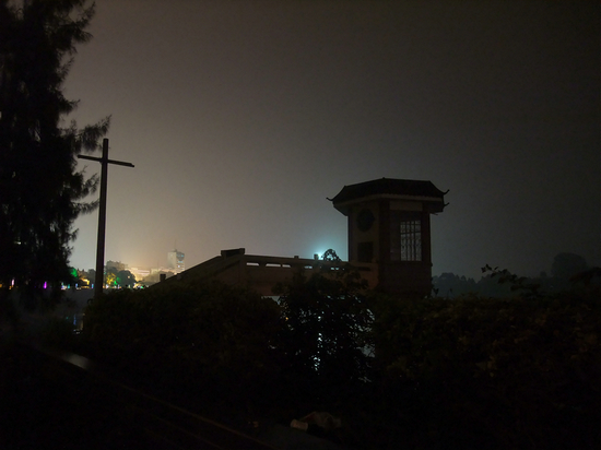 横州夜海棠 (5).jpg