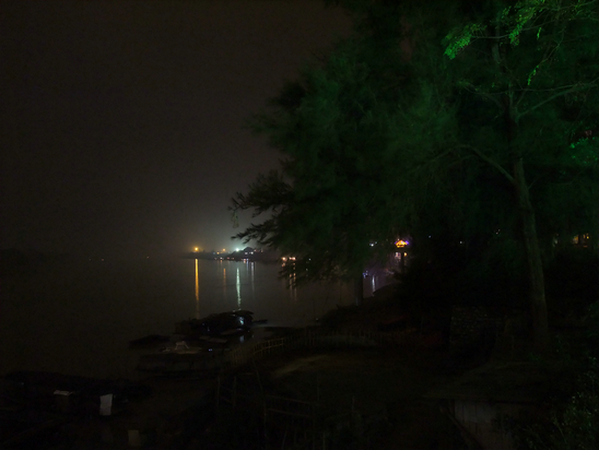 横州夜海棠 (6).jpg