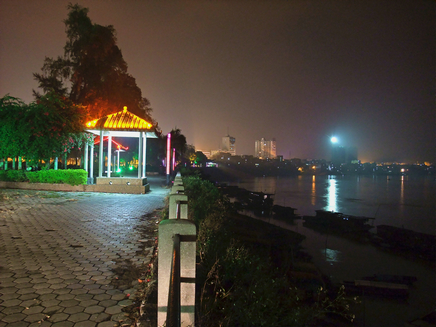 横州夜海棠 (7).jpg