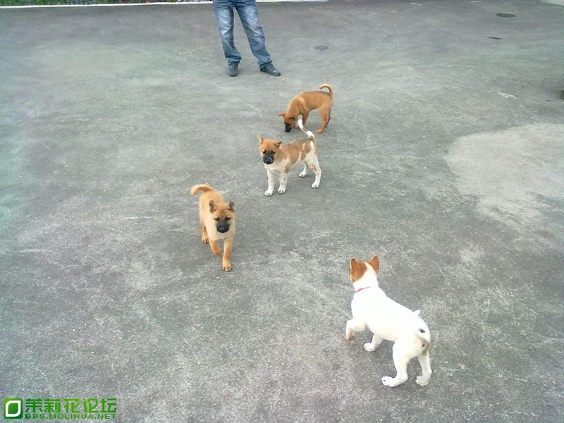 20121108017_副本.jpg