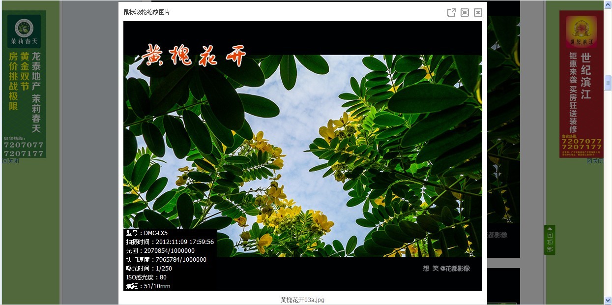 exif.jpg