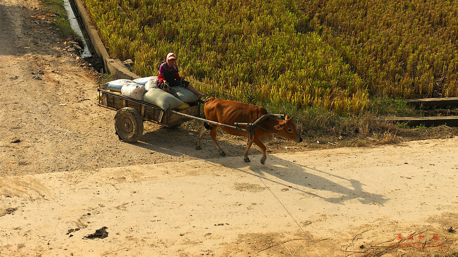 SDC12129_HZP.jpg