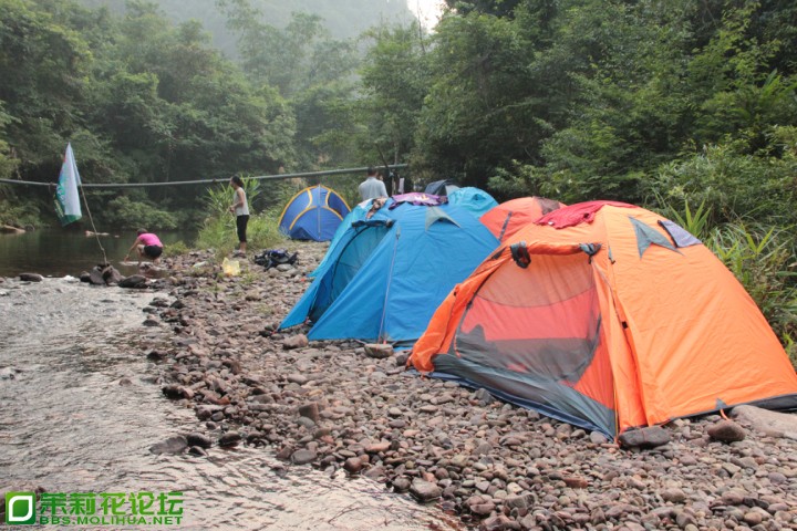 091758zc4rxxms55gr5qbc.jpg