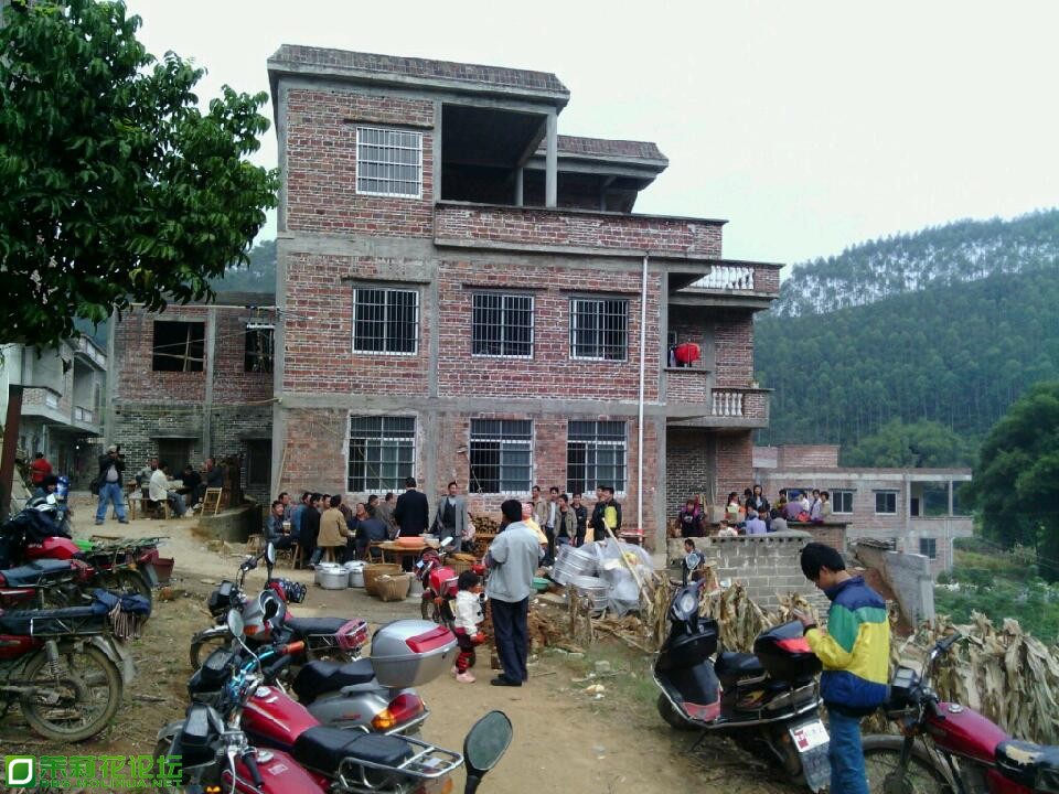 2012-12-10_11-16-39_293153_org-8.jpg