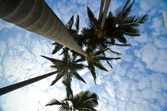 DSC_7218x.jpg
