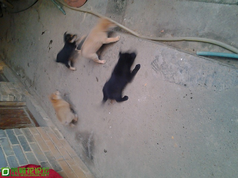 2012-12-15 17.41.45_副本.jpg
