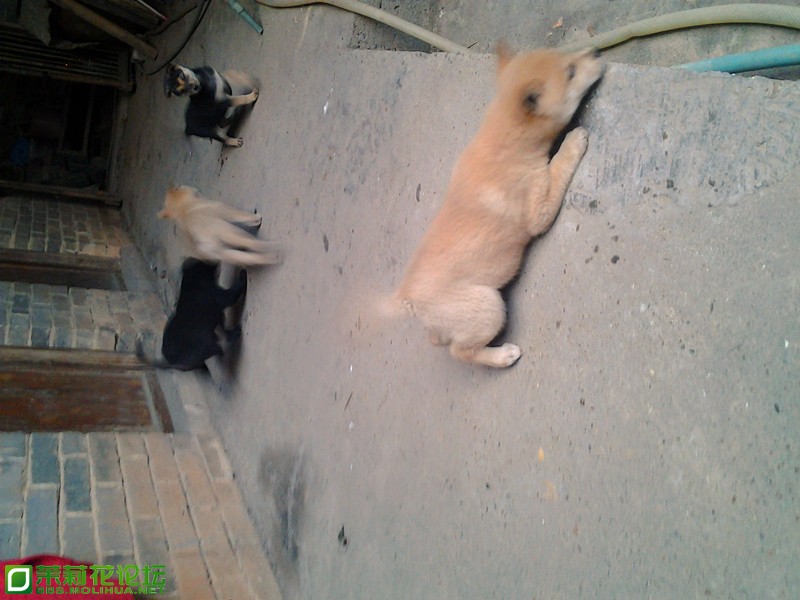 2012-12-15 17.42.04_副本.jpg