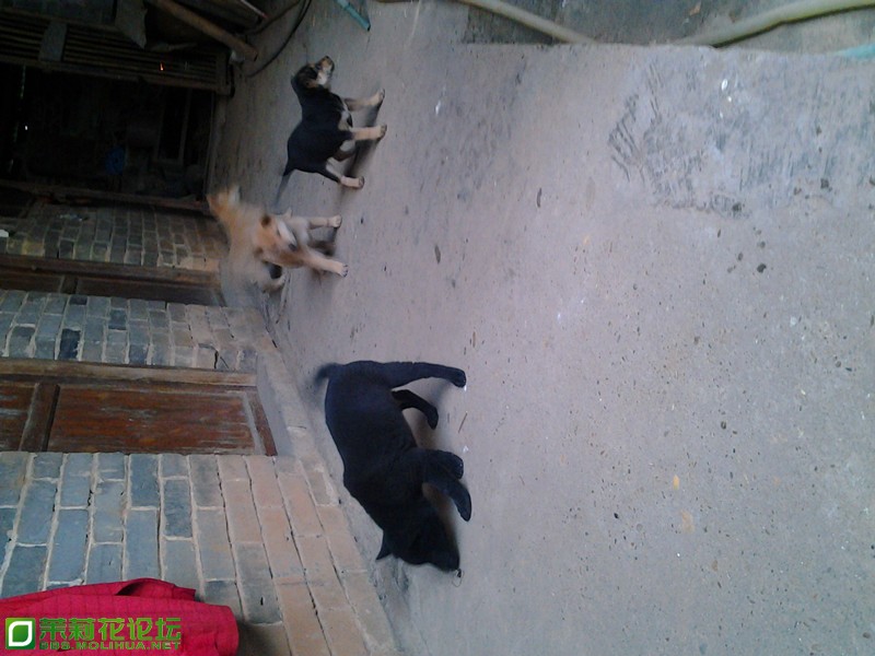 2012-12-15 17.42.07_副本.jpg