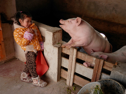 P1010376.JPG