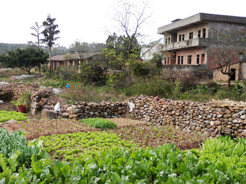P1010256.JPG