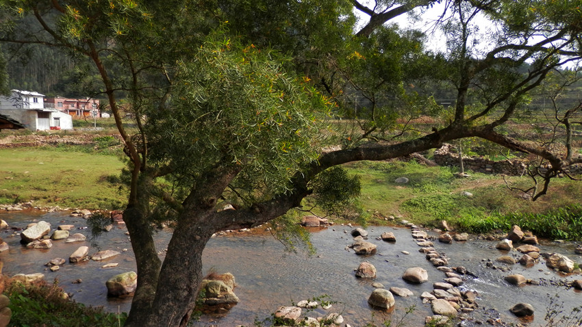 P1010281.JPG