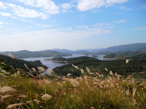 P1010336.JPG