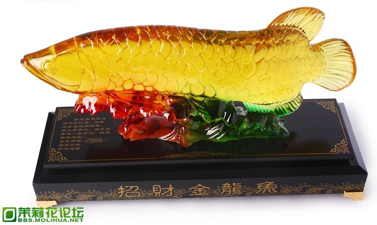 金龙鱼.jpg
