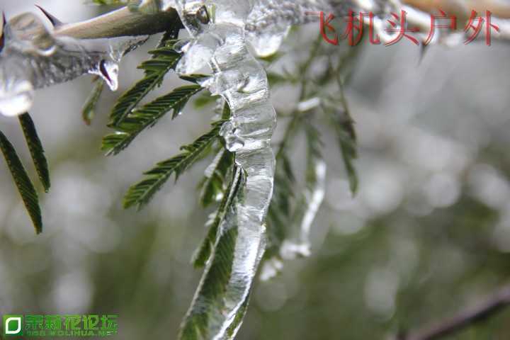 152807j4o18xnbn8wqn6e9.jpg