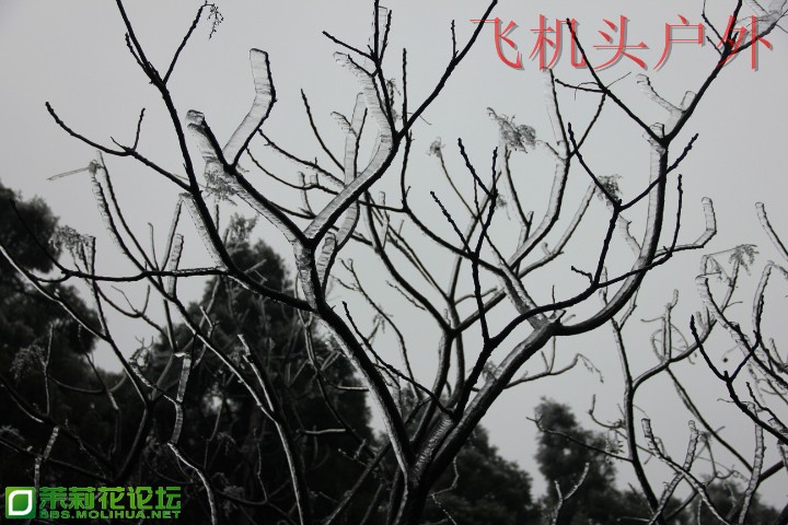 152810t4c0xdvdcvex0ced.jpg