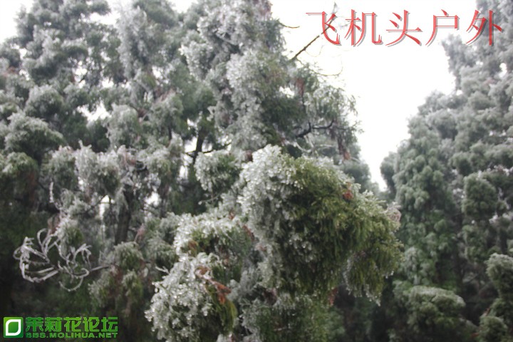 152813z2lun8olalujldll.jpg
