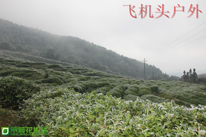 152816eaa0sxk7xkaahbwe.jpg