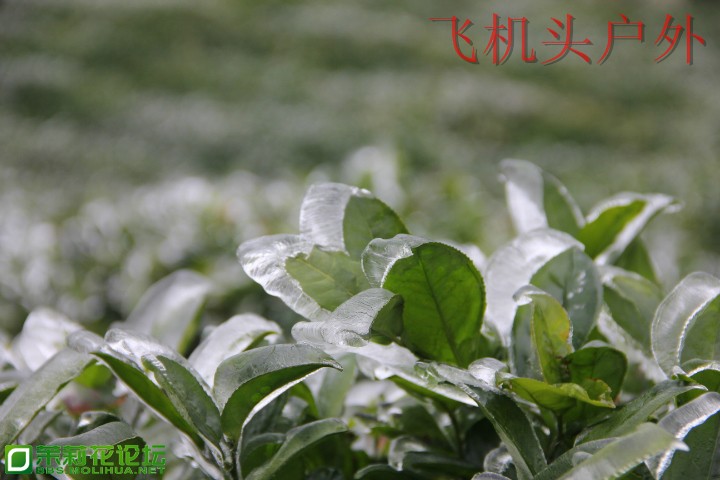152817a22cise65640zq24.jpg