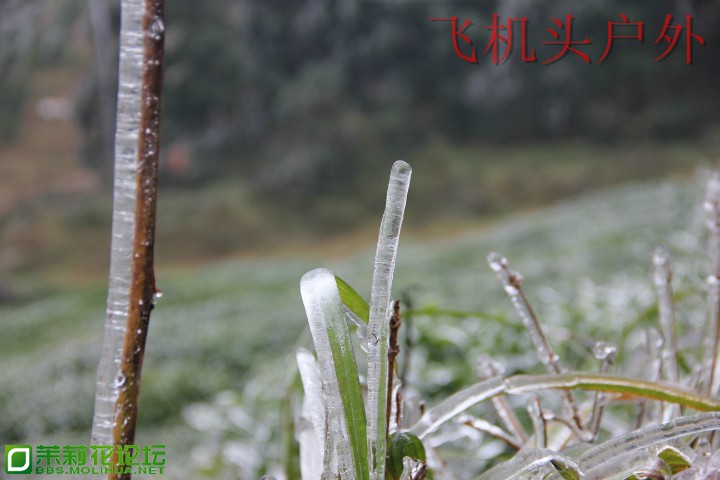 153427e2o5gozzegegpo6g.jpg
