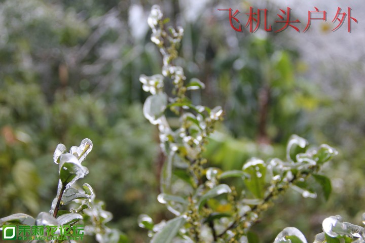 153823svi9h9cz9dcyfdto.jpg