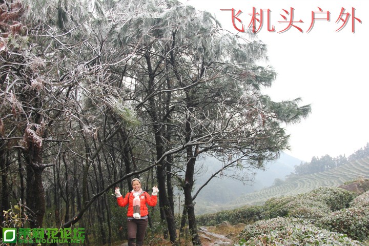 153826y4xxlk5zt5451jml.jpg