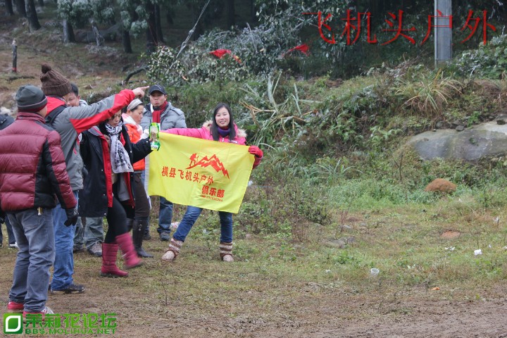154020kr33sq131llll4t4.jpg