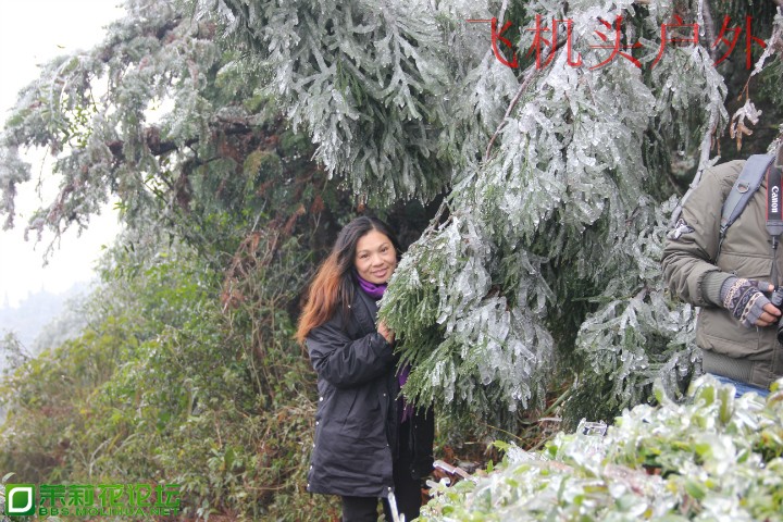 154355stt7at9r4pmp39r1.jpg