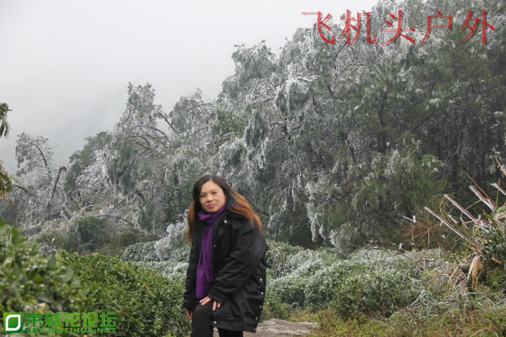 154509nbg33hhb9tfm6d3m.jpg