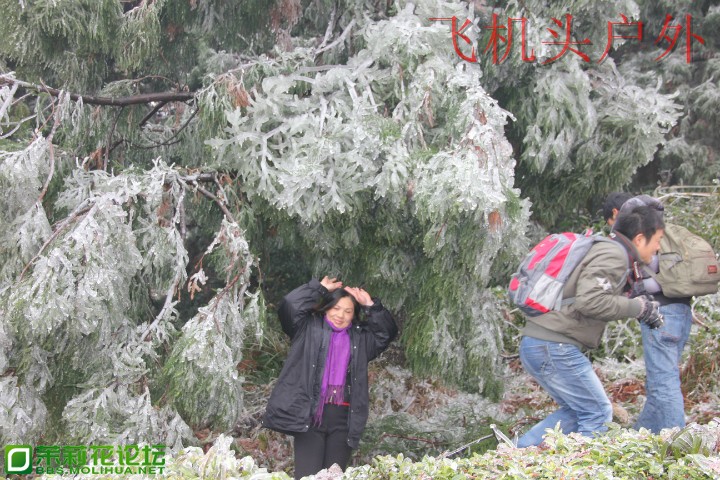 154513q0s6gwnw7k061hhz.jpg