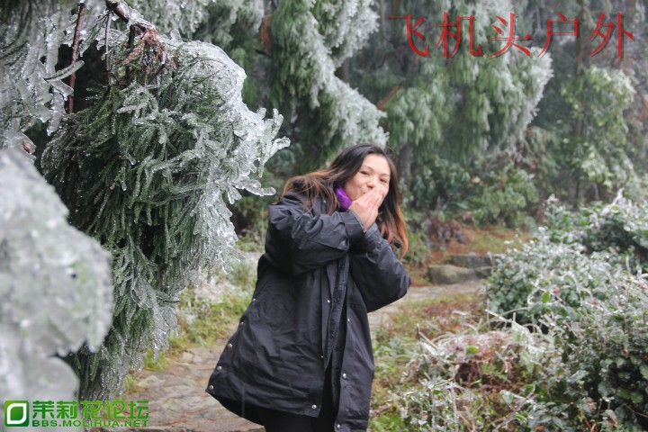 154639d2bsss0gy2p0sbsy.jpg