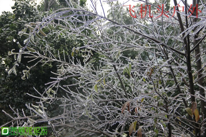 155110otggtued81zmds1u.jpg