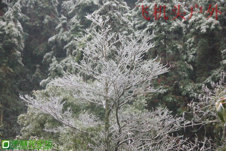 155112jjjc6854g864w2wg.jpg