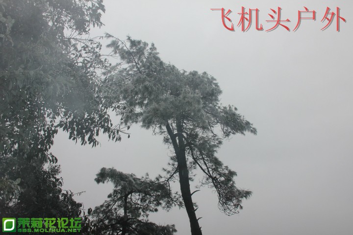 155114qllfl79ld98yuv37.jpg