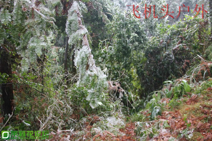 155240kfwsw2llwsgwv8tf.jpg