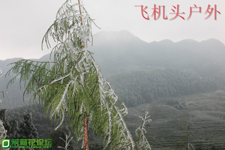 155544u373osyttzsbb33p.jpg