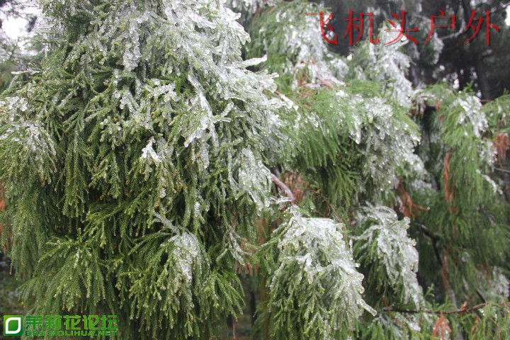 160029n8phmp4oolee8sqr.jpg