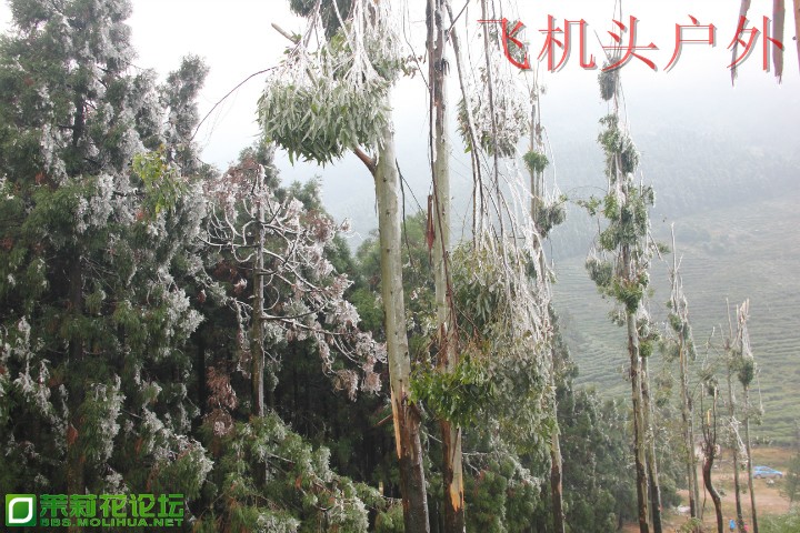 160030b9lril9ndlyei2pf.jpg