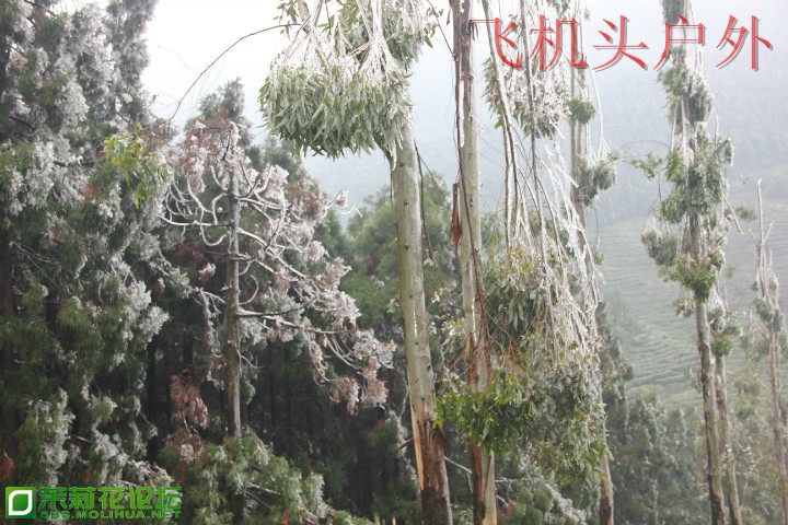 160032qhcxkec9m8cc0n9t.jpg