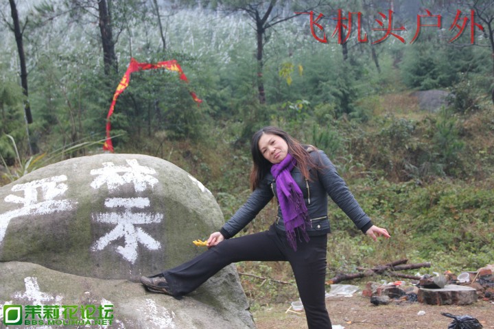 160342zinf00s090paarrz.jpg
