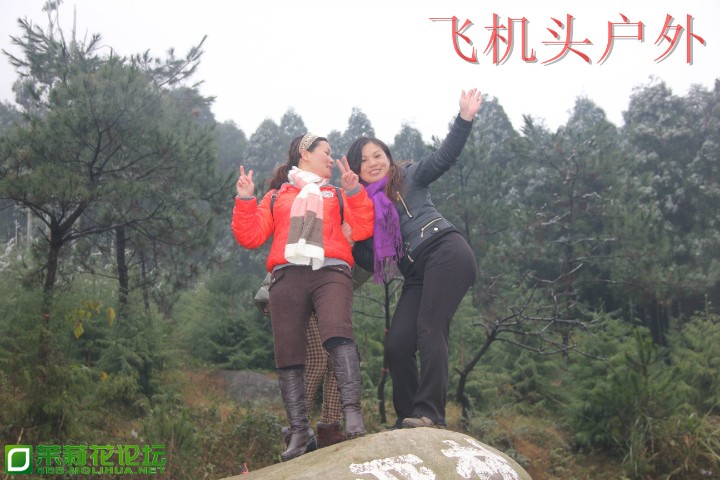 160649d9x59r25hj8cr8h8.jpg