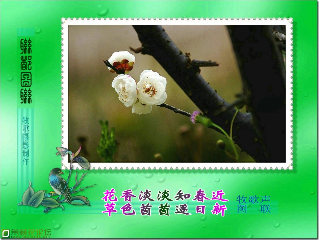 074052gerr8emjroxoonom.jpg