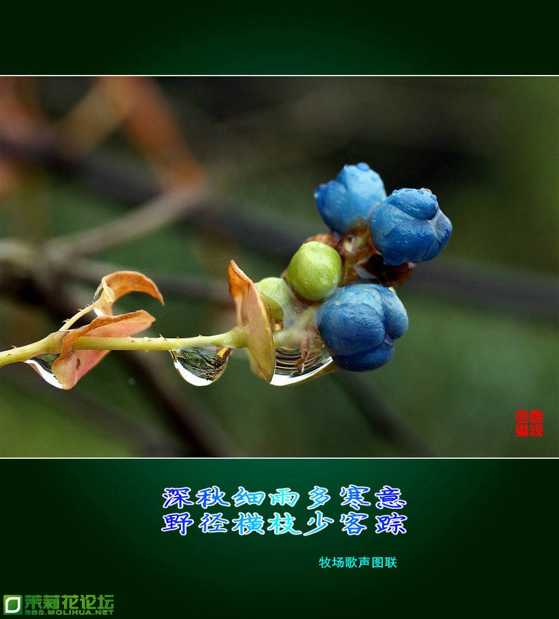 201212520748788.jpg