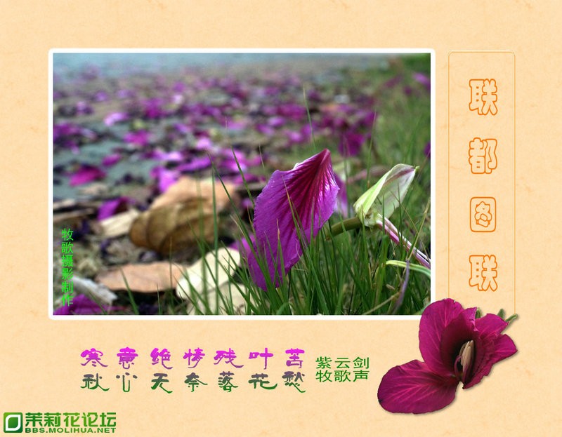 DSC05468_副本.jpg