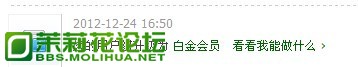 白.jpg