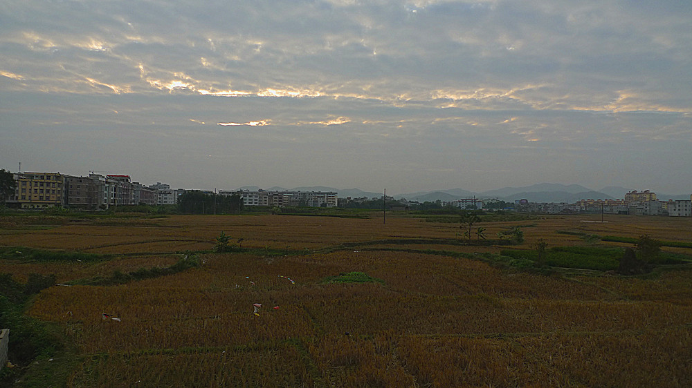 P1010459_副本.jpg