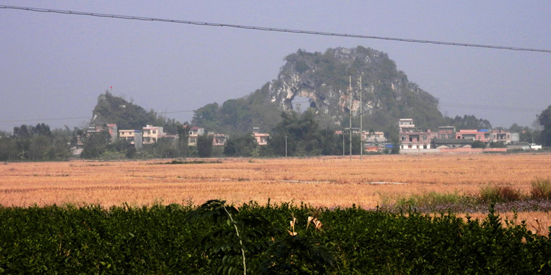 P1010482_副本.jpg