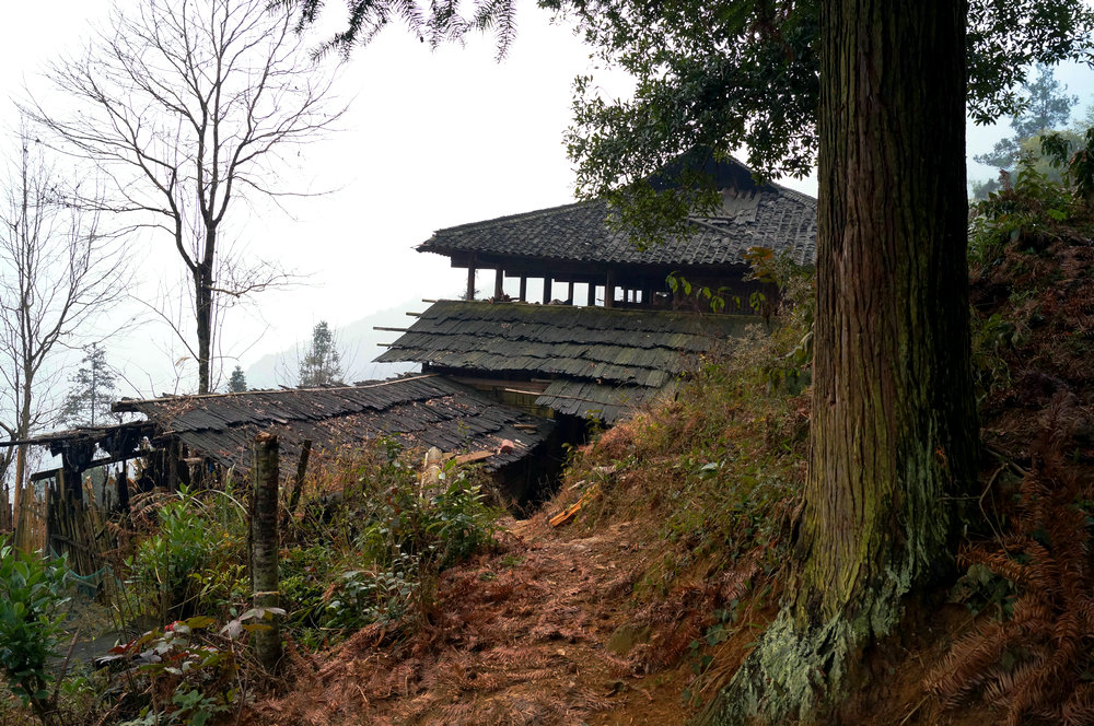 DSC01201.jpg