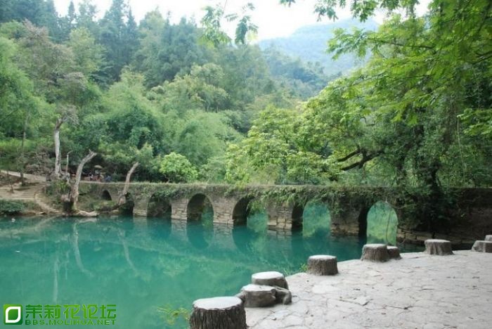 小气孔11_副本_1.jpg