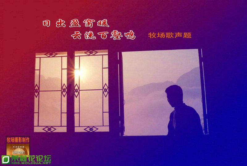 牧场歌声.jpg